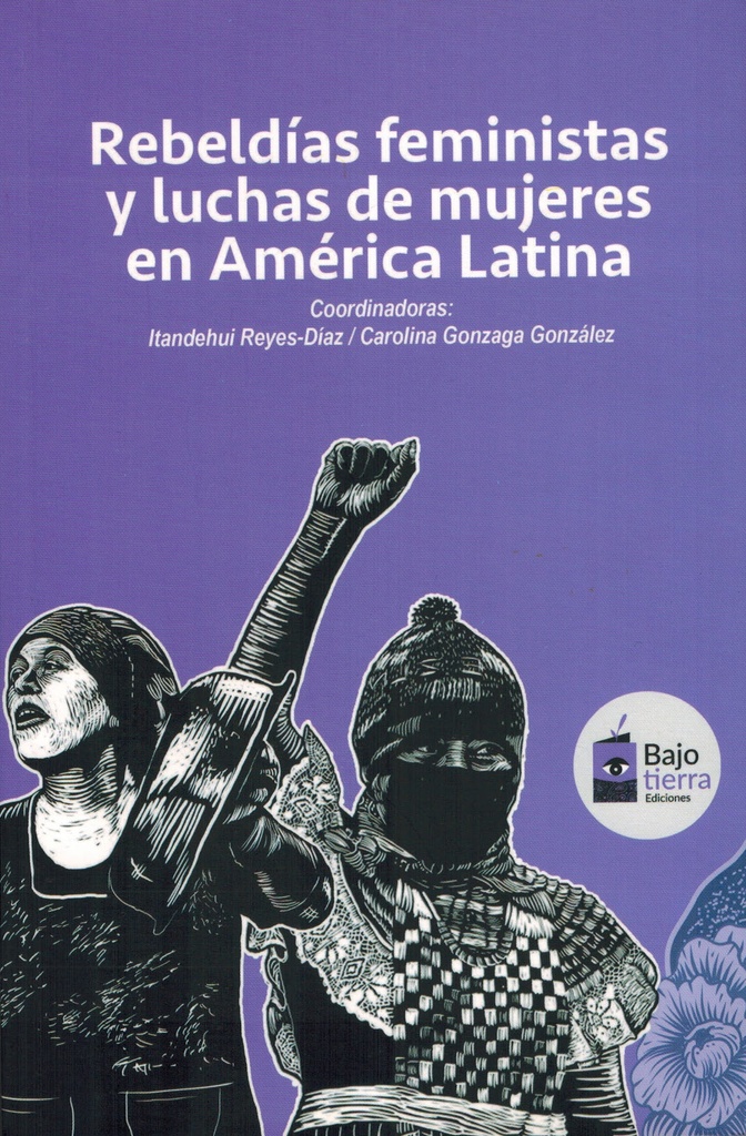 Rebeldías feministas y luchas de mujeres en América Latina - Itandehui Reyes-Dias