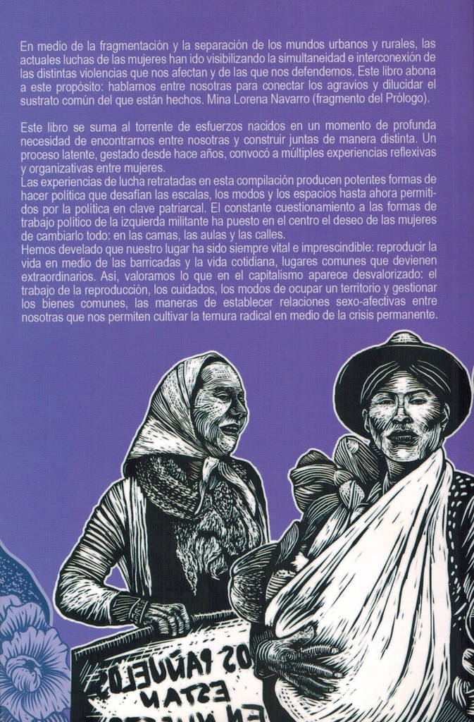 Rebeldías feministas y luchas de mujeres en América Latina - Itandehui Reyes-Dias