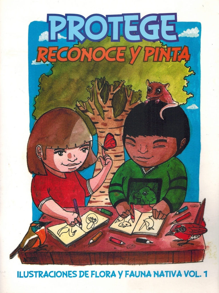 Protege, reconoce y pinta: ilustraciones de flora y fauna nativa volumen 1 - Güiña
