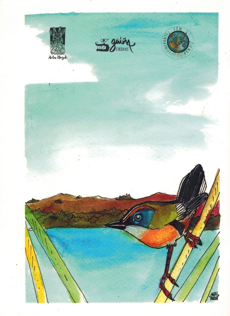 Protege, reconoce y pinta: ilustraciones de flora y fauna nativa volumen 1 - Güiña