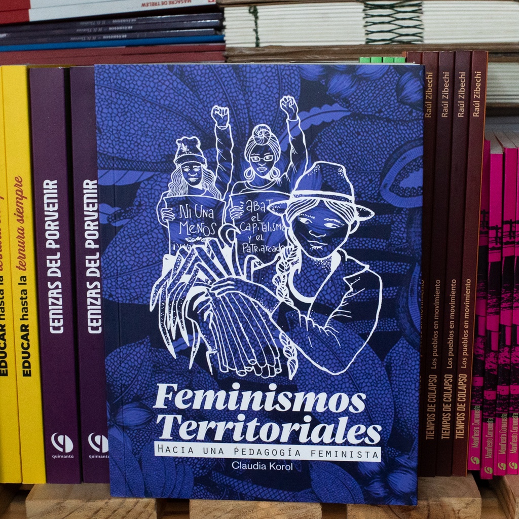 Feminismos territoriales - Claudia Korol