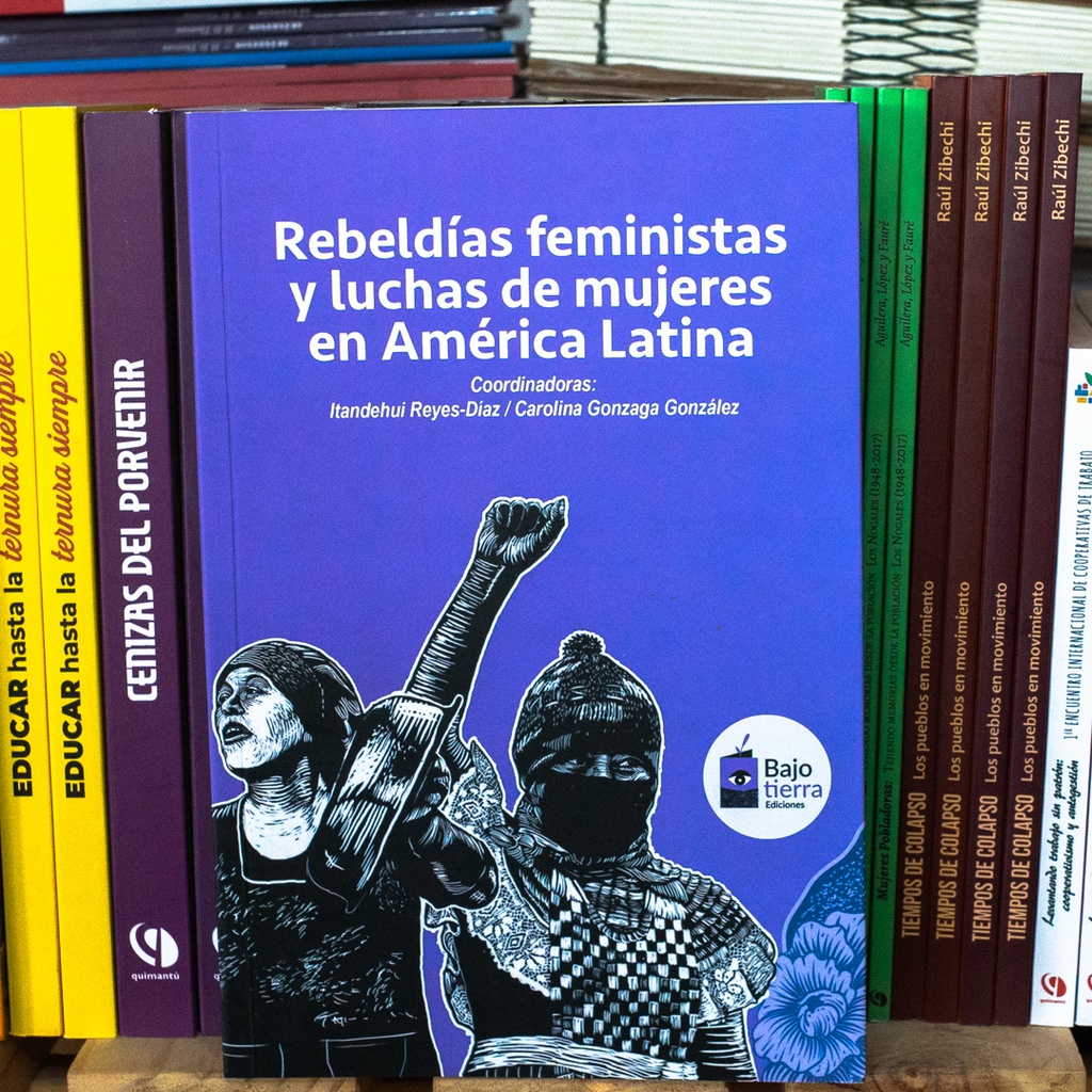 Rebeldías feministas y luchas de mujeres en América Latina - Itandehui Reyes-Dias