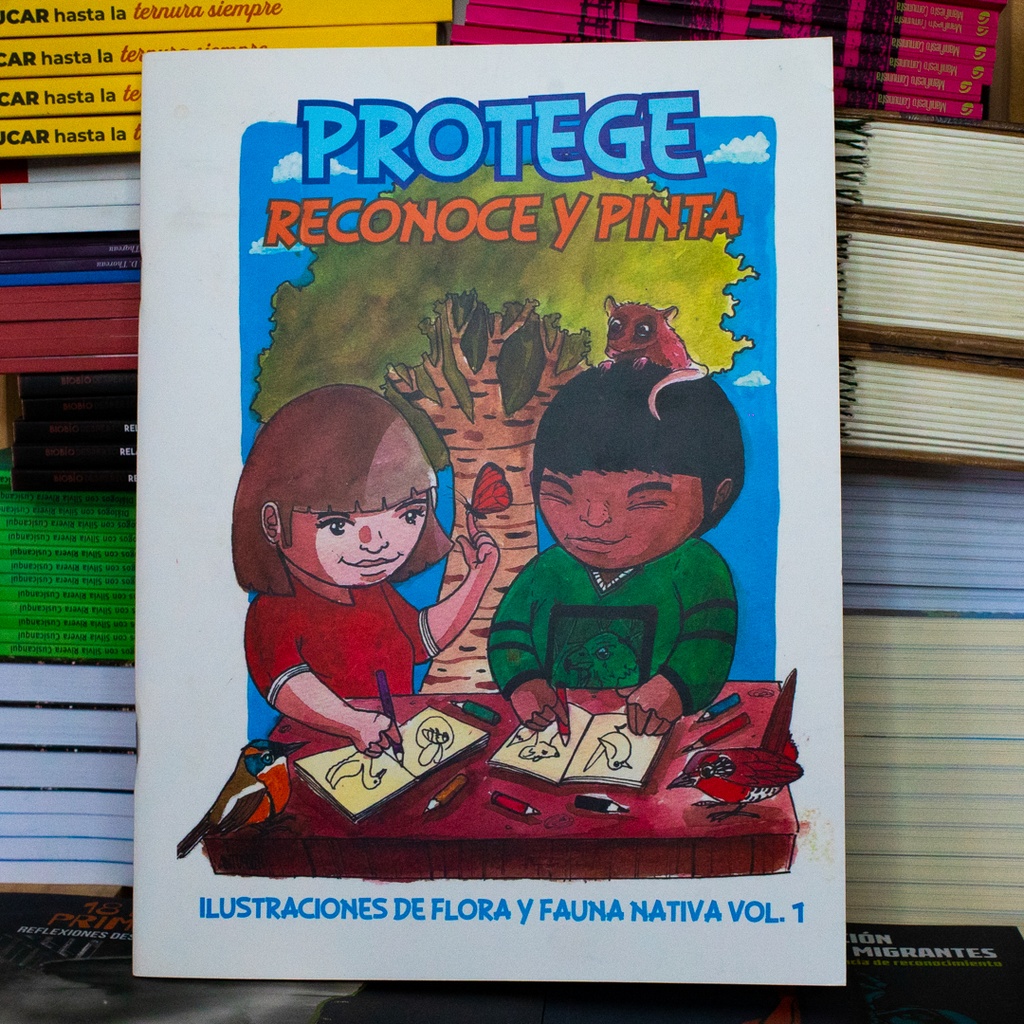 Protege, reconoce y pinta: ilustraciones de flora y fauna nativa volumen 1 - Güiña
