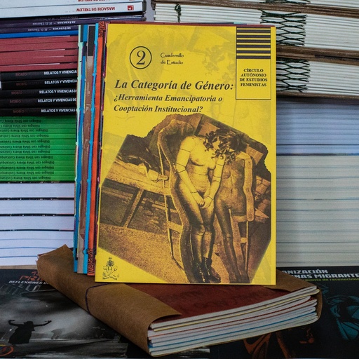 [1412525327] Cuadernillos del Círculo Autónomo de Estudios Feministas - Estudios Feministas