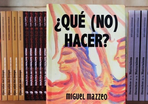 [1412522206] Qué (no) hacer - Miguel Mazzeo