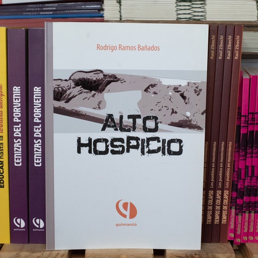 [1412522209] Alto hospicio - Rodrigo Ramos
