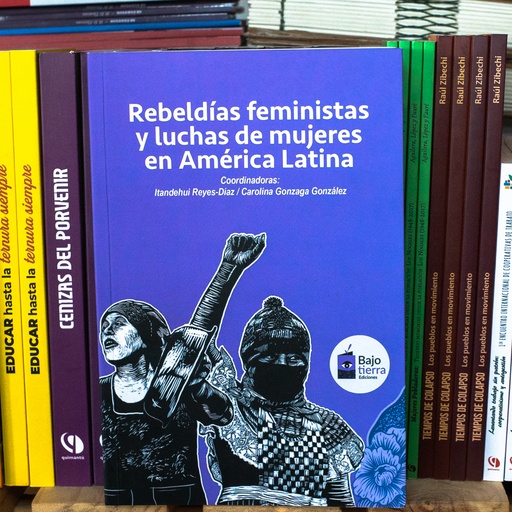 [1412522263] Rebeldías feministas y luchas de mujeres en América Latina - Itandehui Reyes-Dias